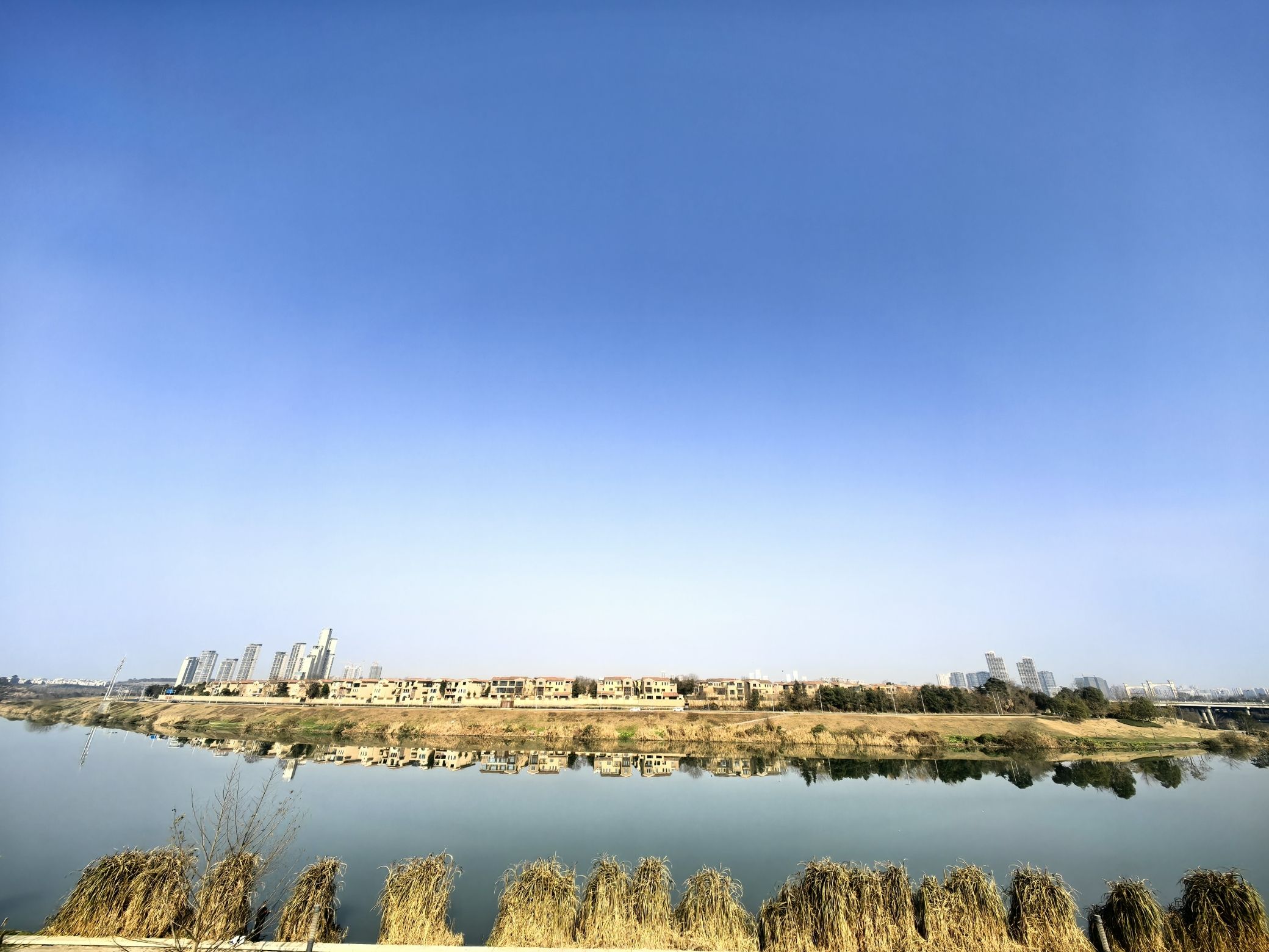正兴镇景观大草坪旅行图片 3