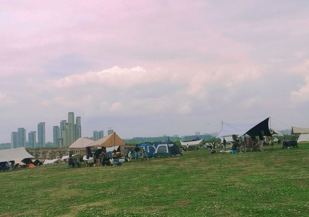 正兴镇景观大草坪旅行图片 3