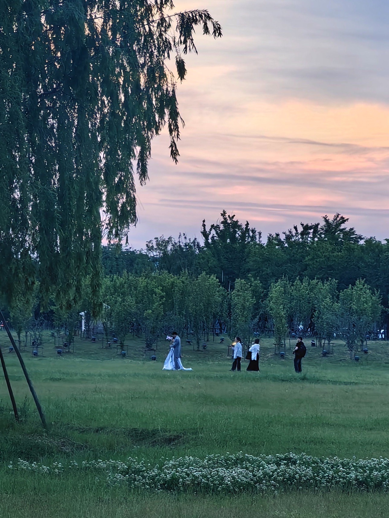 中华海棠园旅行图片 2