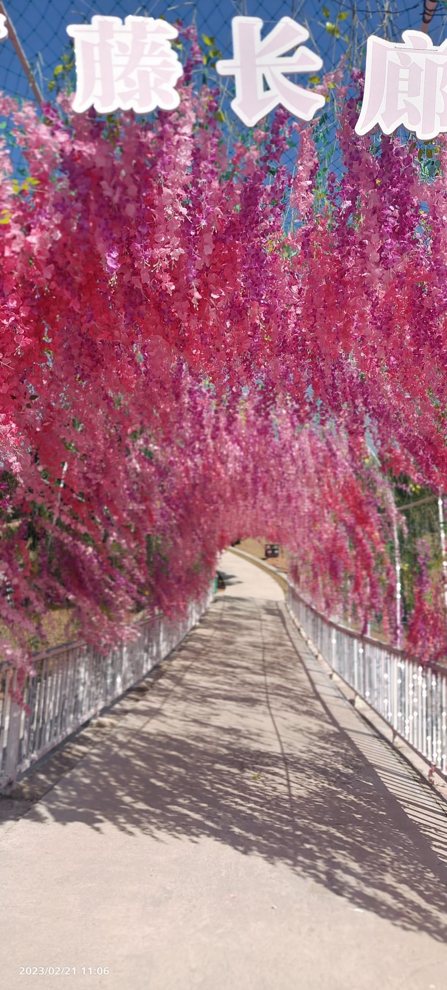 江山市鸟语花香景区(暂停开放)