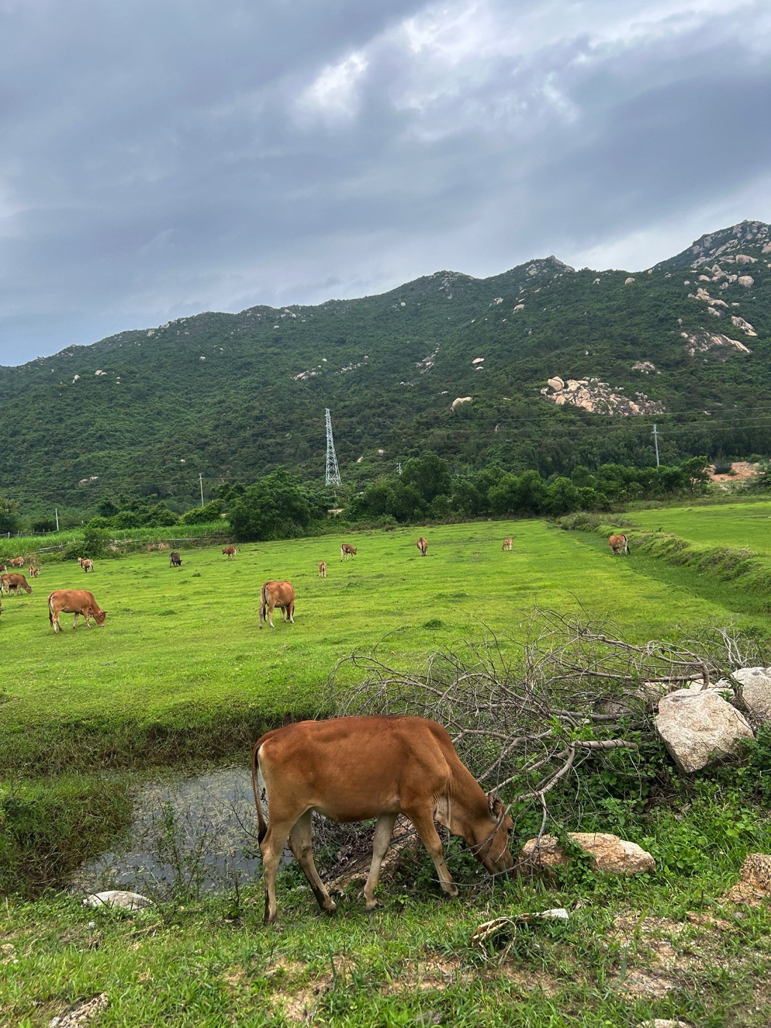 东南亚风情村旅行图片 3