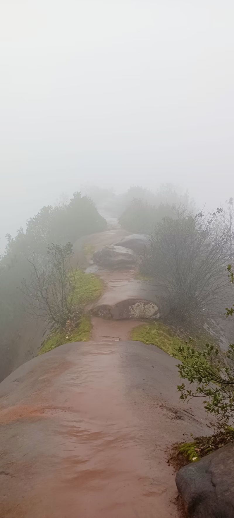 牯牛背旅行图片 3