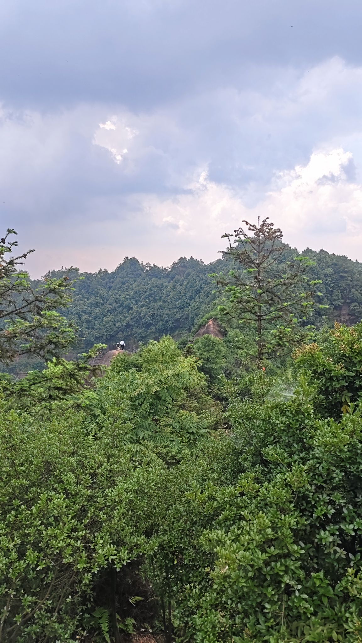 牯牛背旅行图片 3