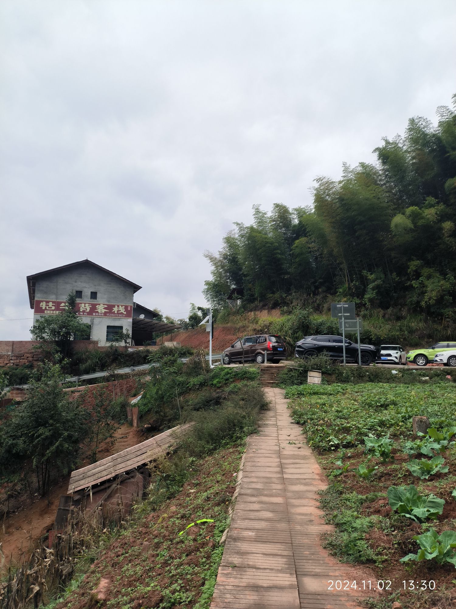 牯牛背旅行图片 1