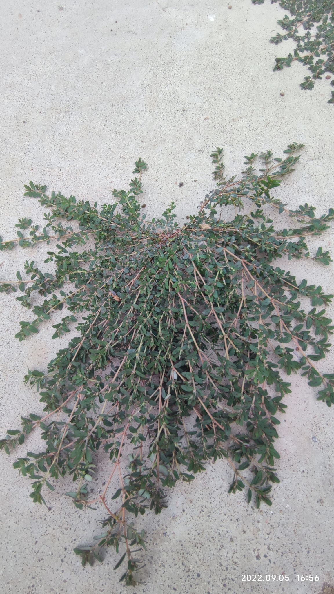 梁祝公园旅行图片 1