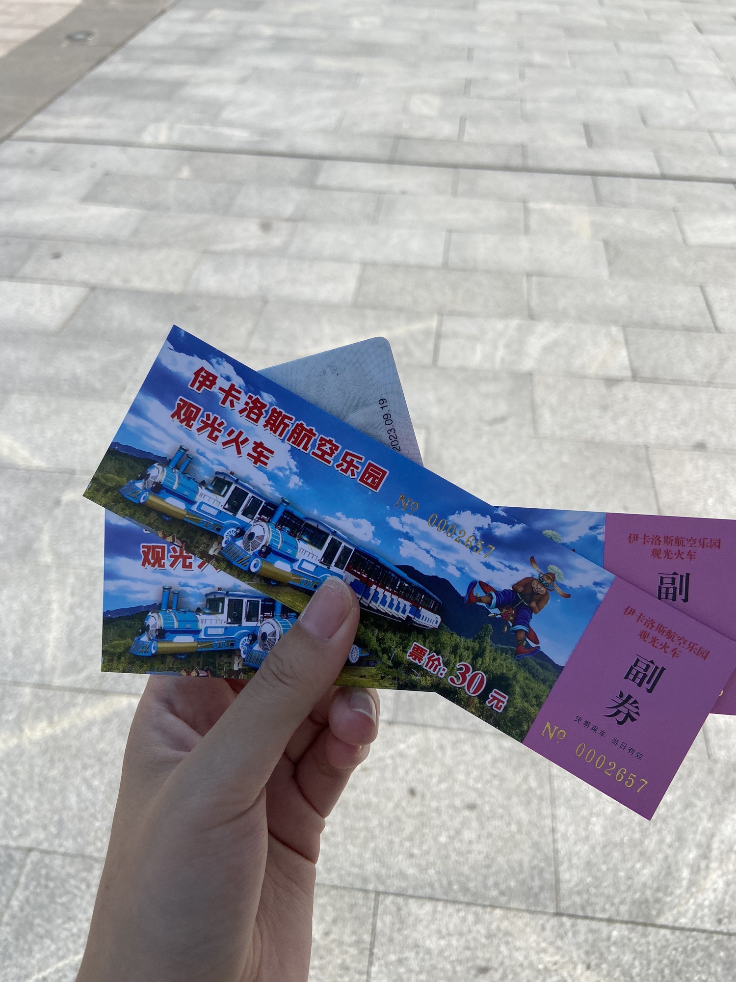 蛟龙航空主题乐园旅行图片 2