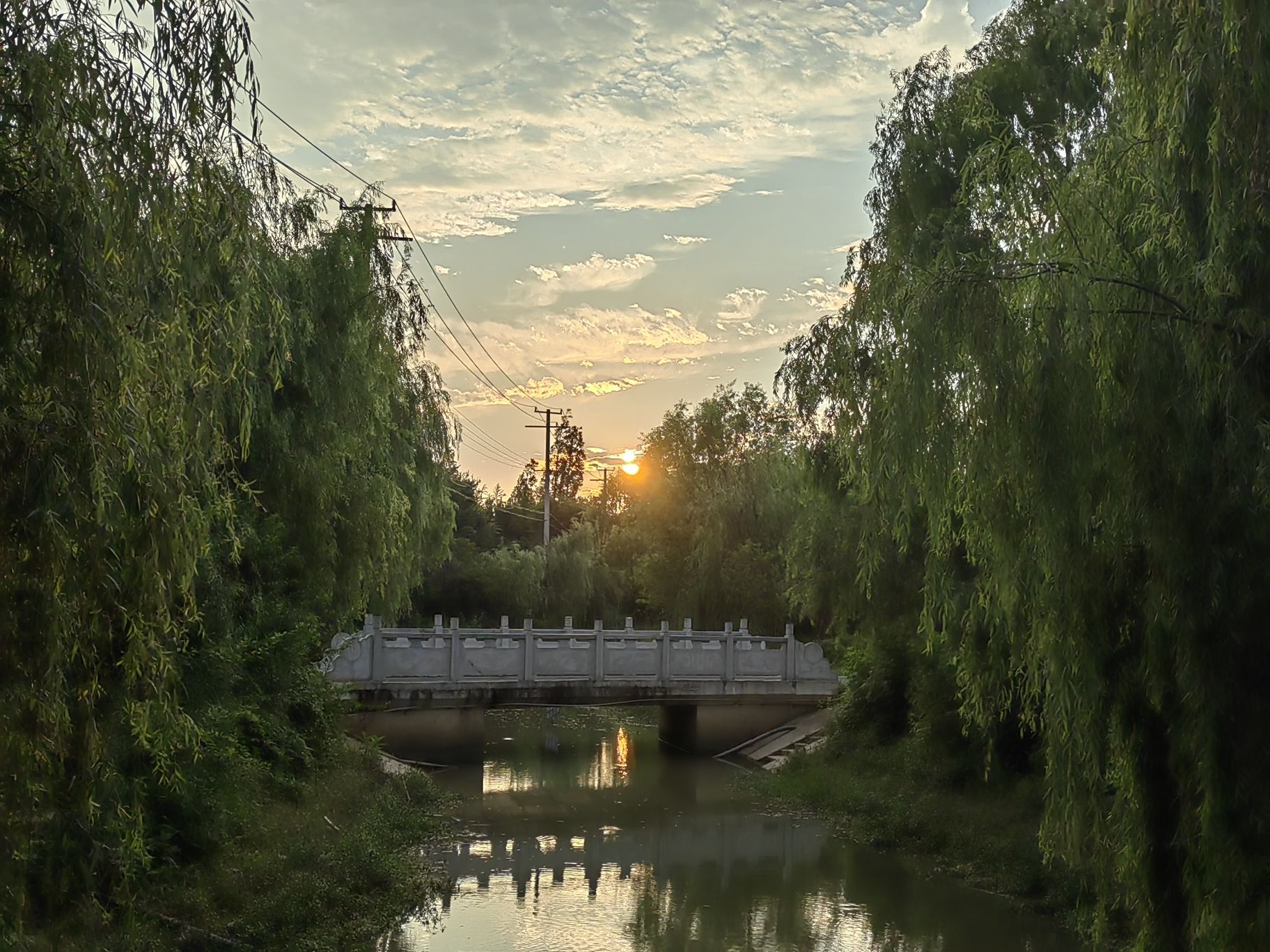 新沟生态公园