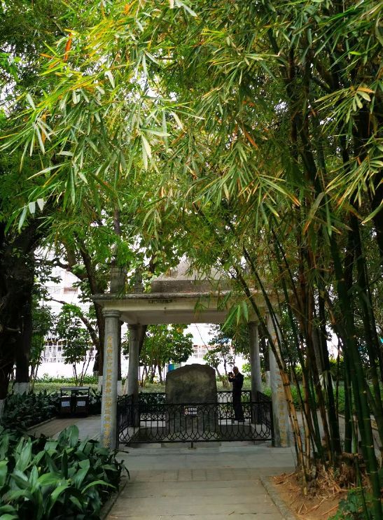 白沙公园旅行图片 3