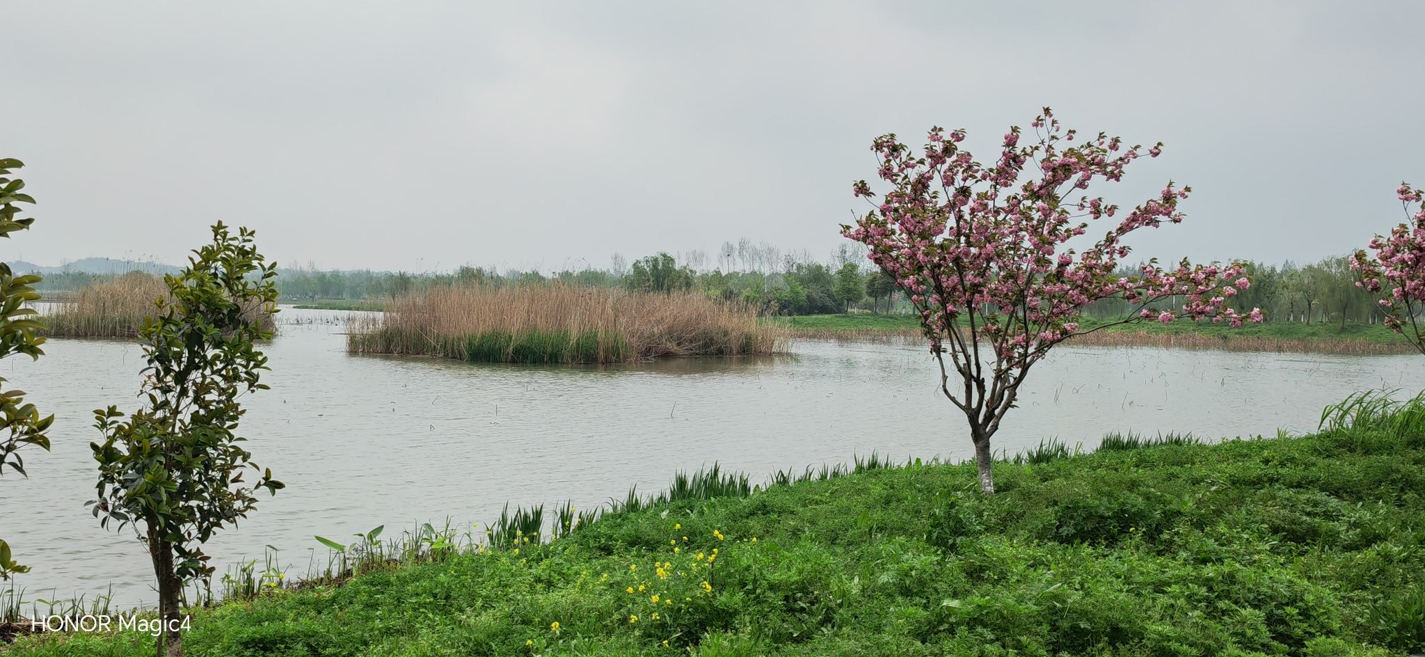 平天湖生态湿地