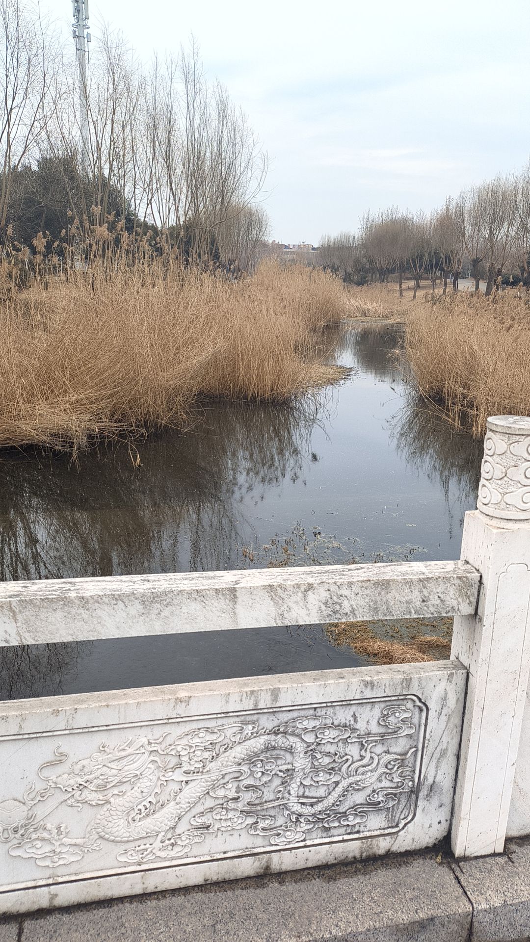 北潭郊野公园旅行图片 2