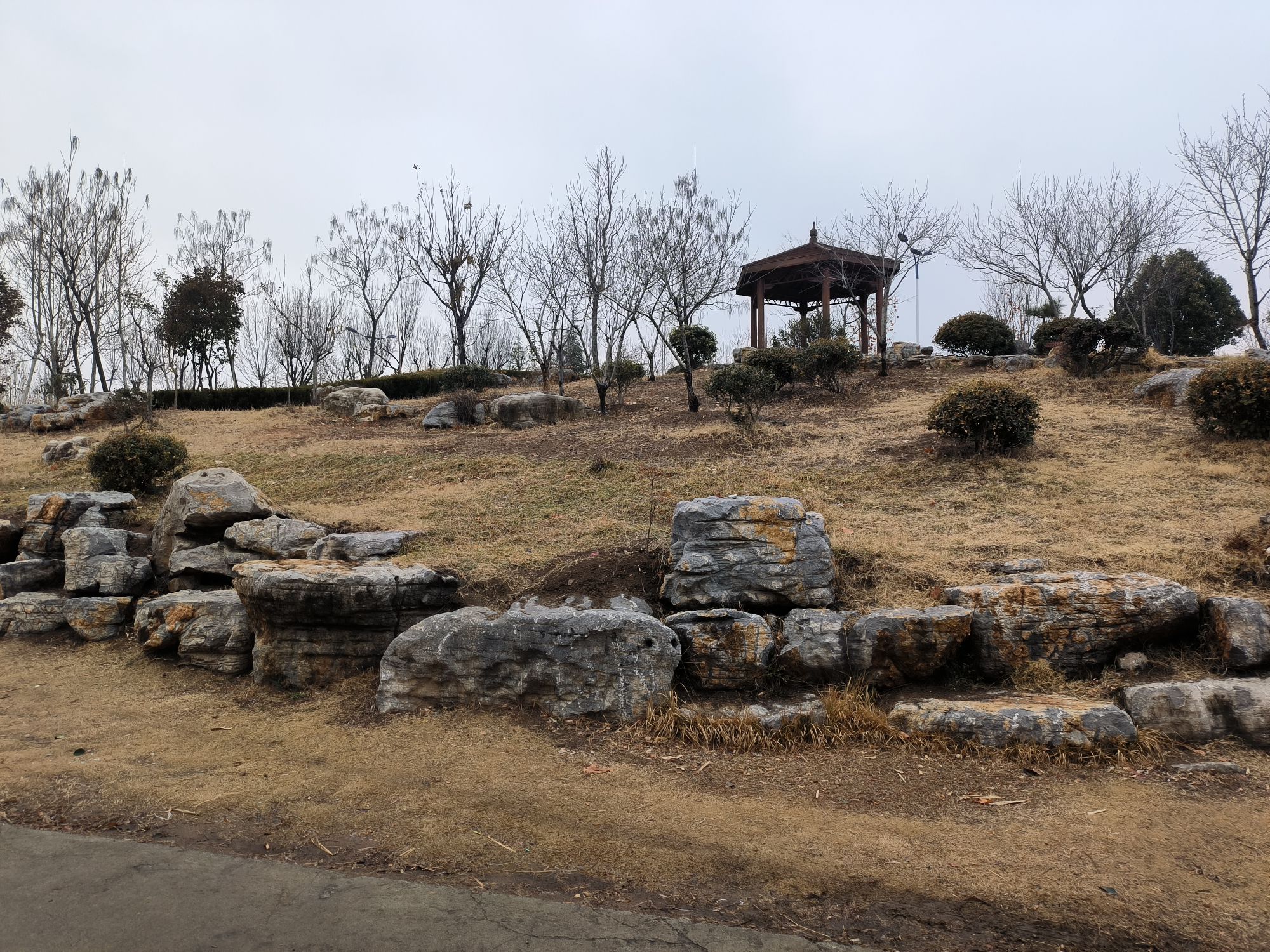北潭郊野公园旅行图片 1