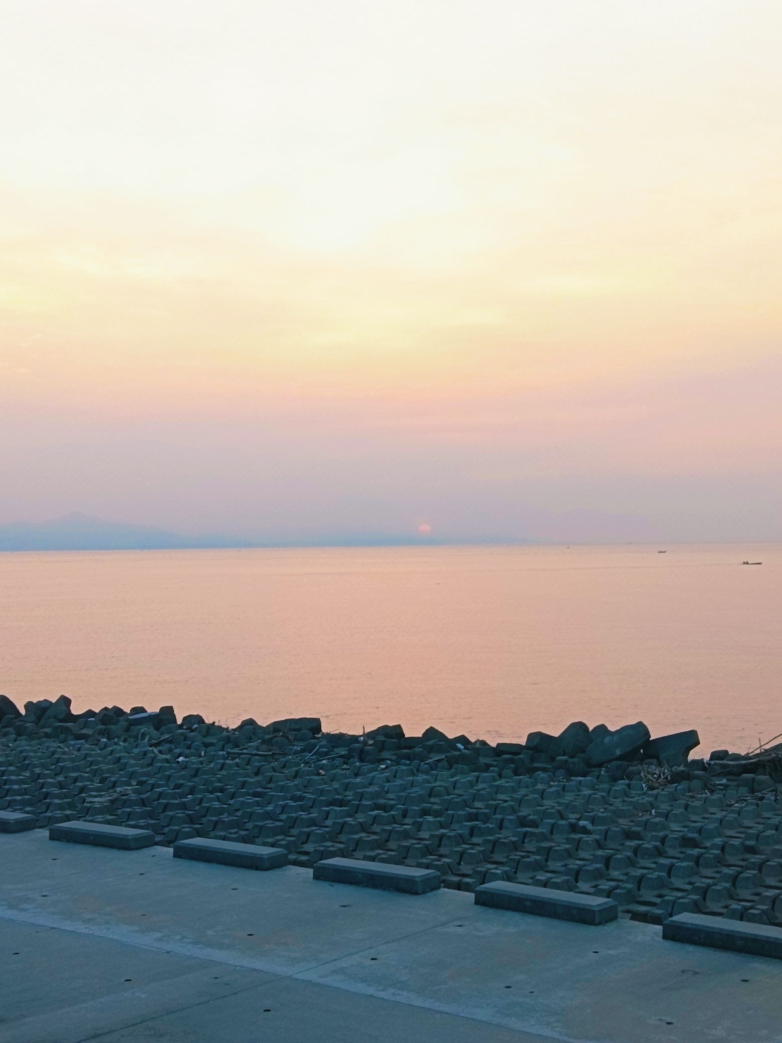 东海岸公园旅行图片 1