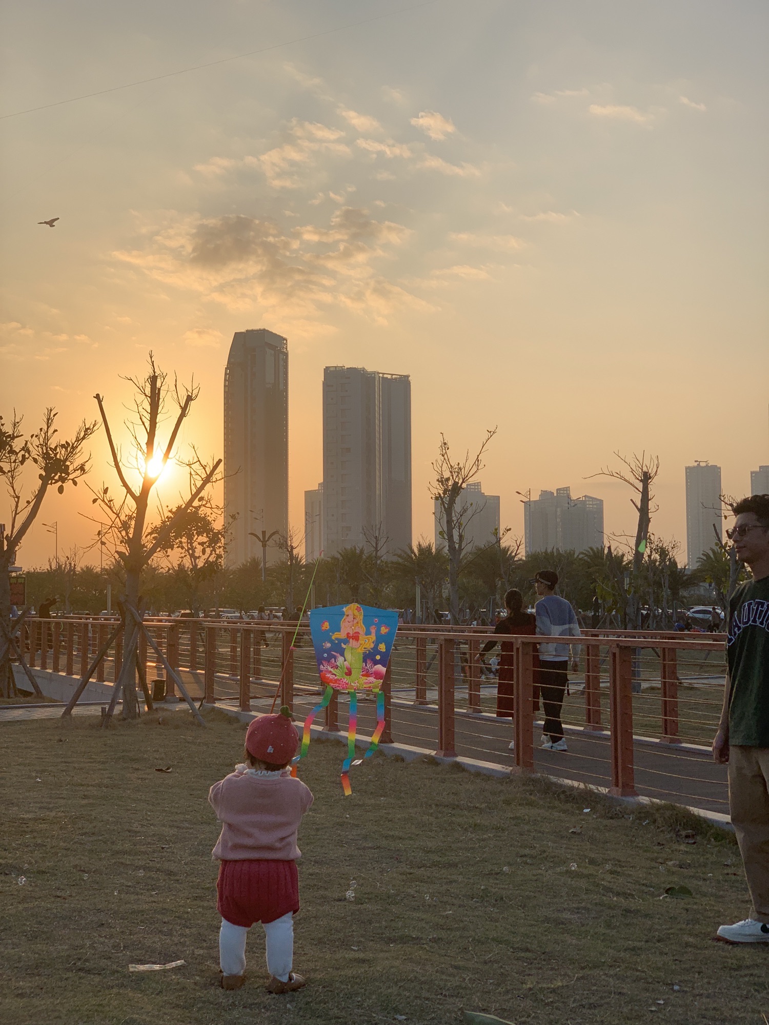 东海岸公园旅行图片 2