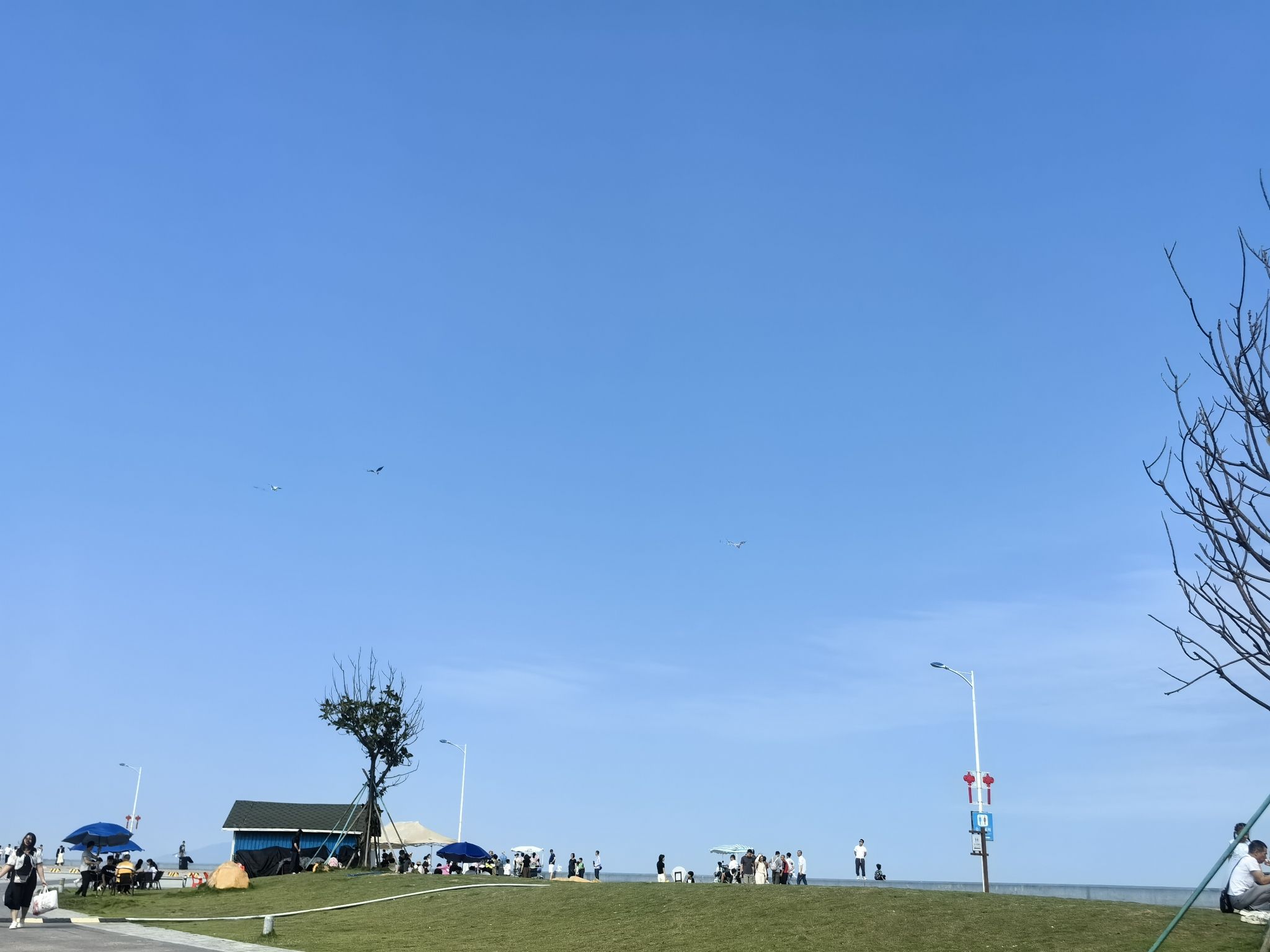 东海岸公园旅行图片 1
