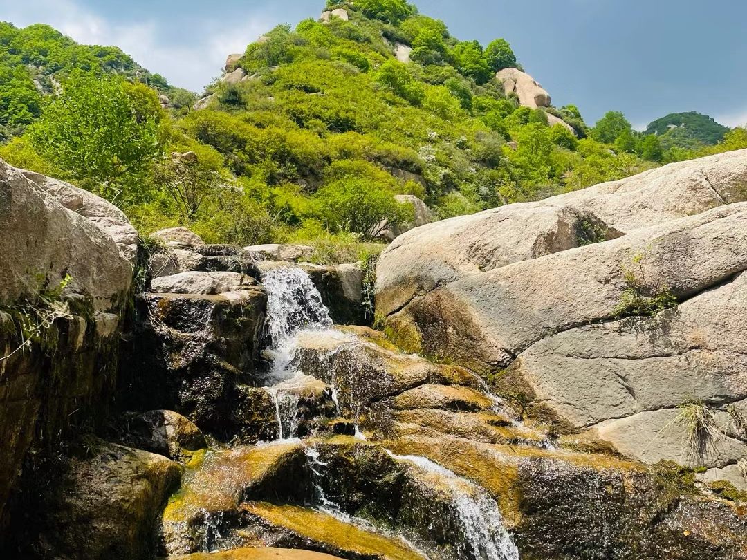 莲花山旅行图片 2