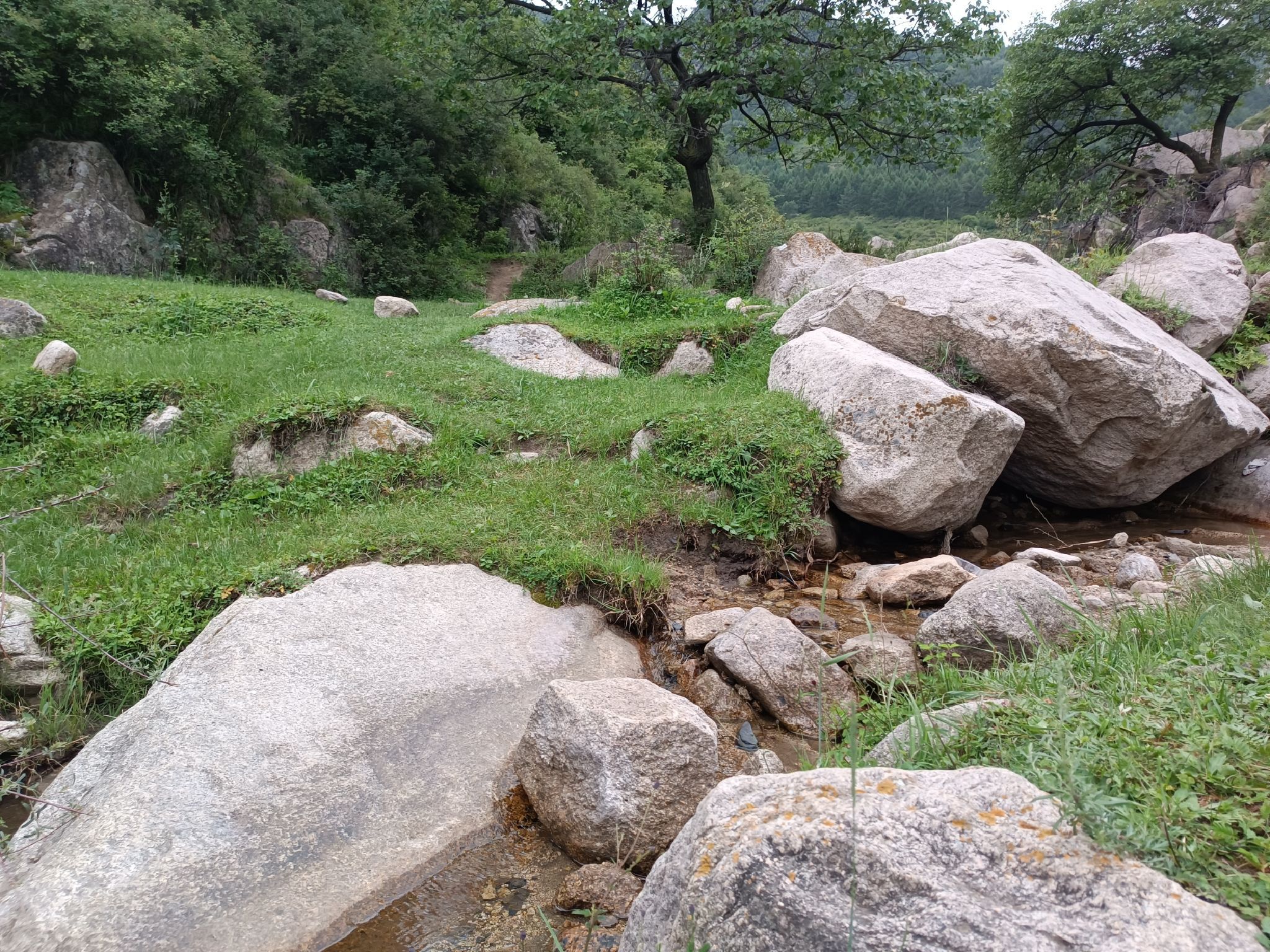 莲花山旅行图片 1