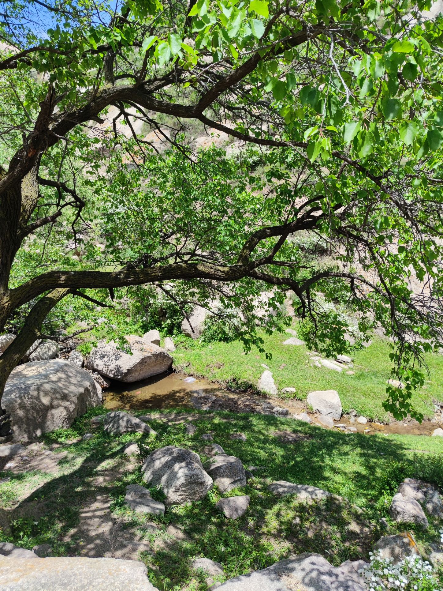 莲花山旅行图片 3