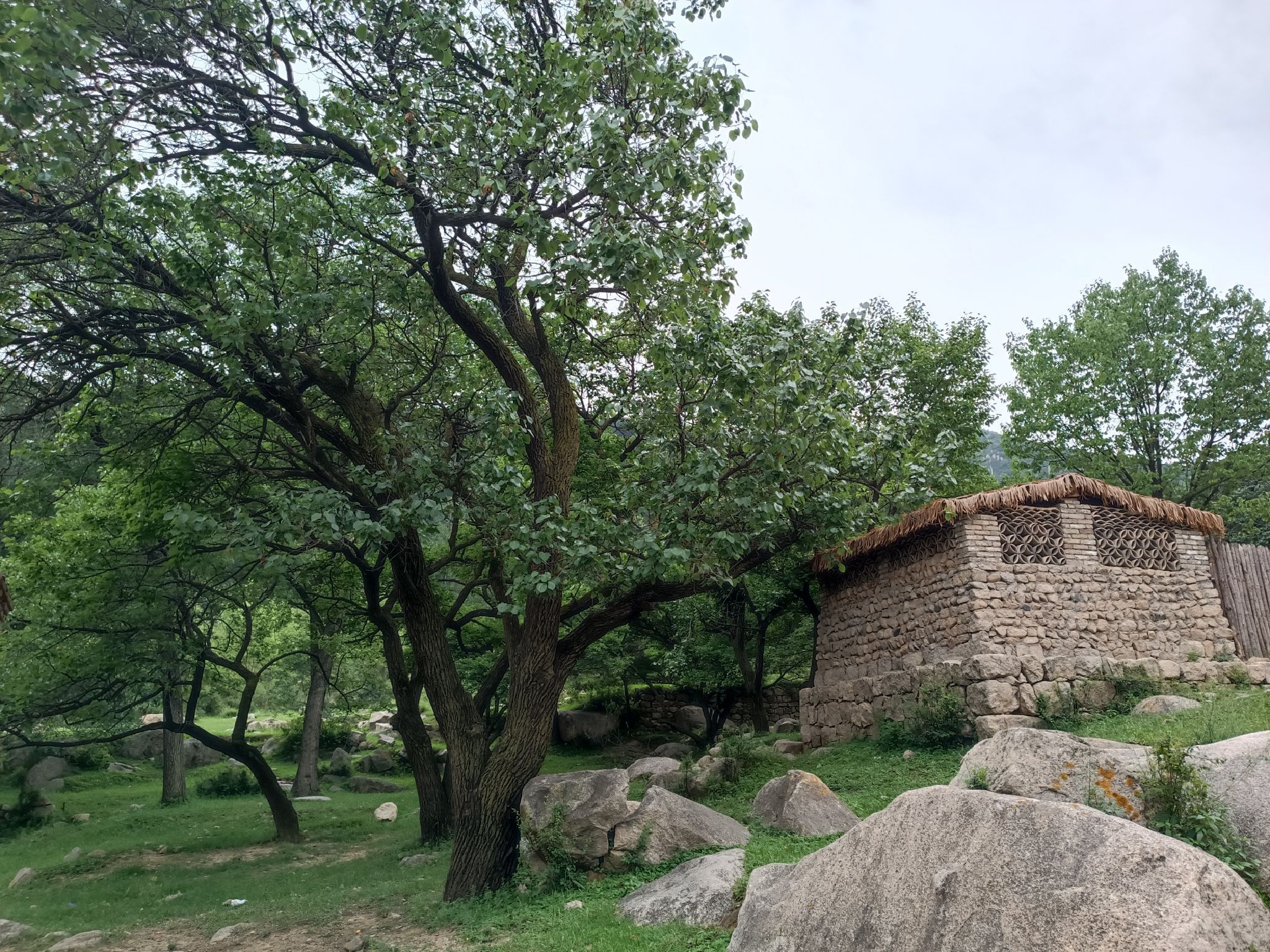 莲花山旅行图片 2
