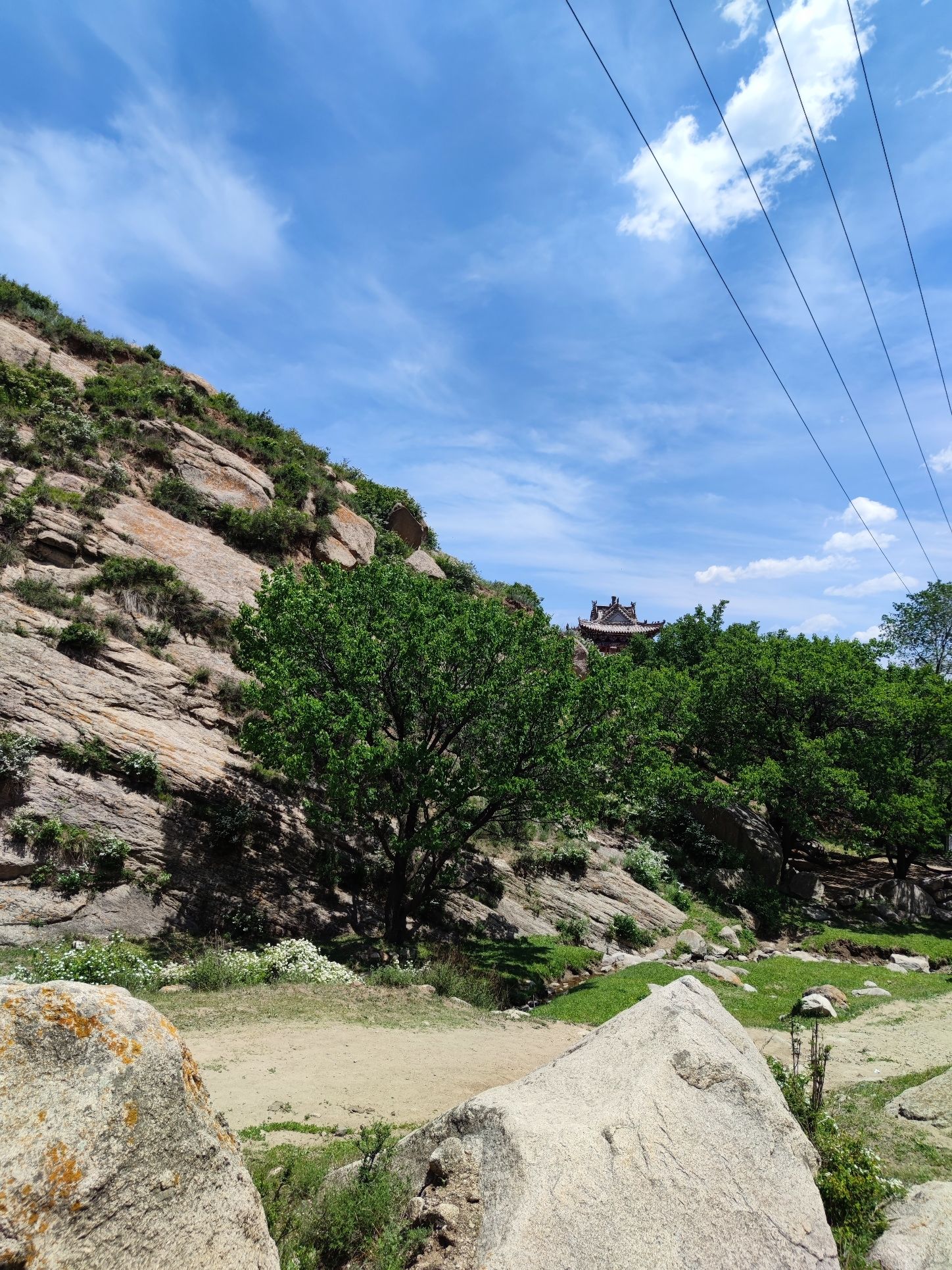 莲花山旅行图片 2