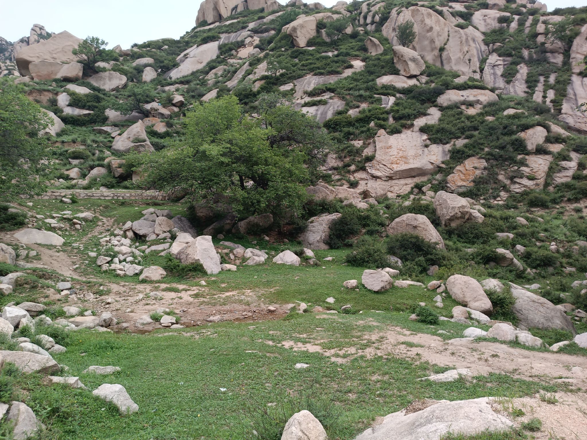 莲花山旅行图片 3