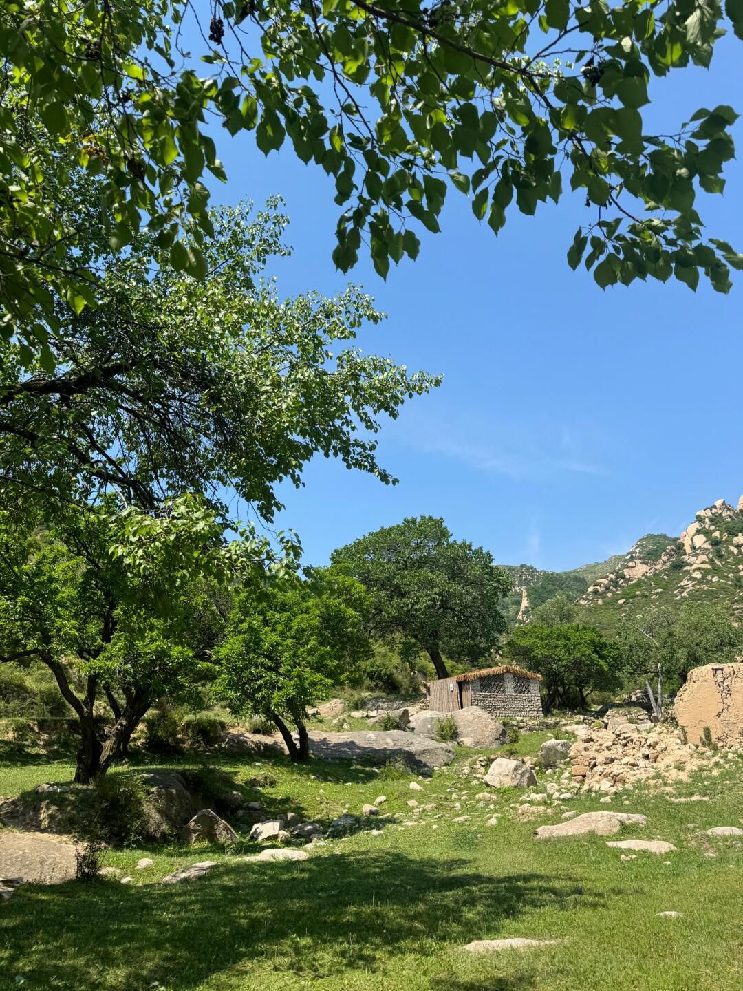 莲花山旅行图片 3