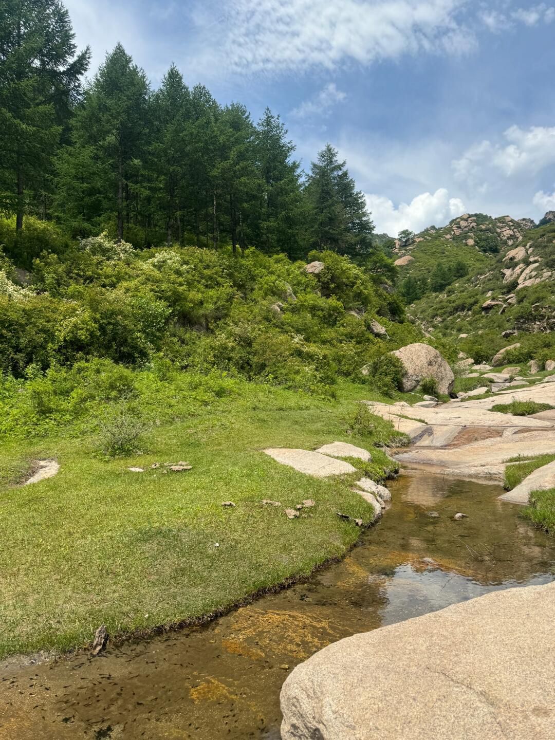 莲花山旅行图片 1