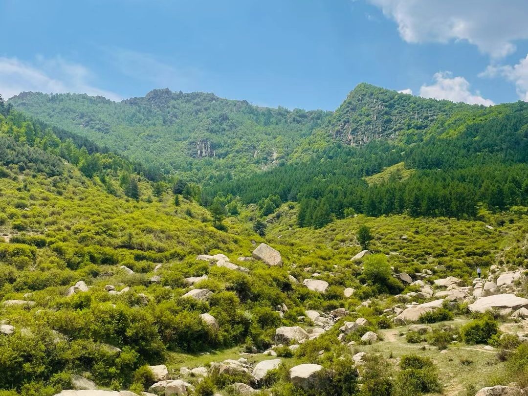 莲花山旅行图片 3