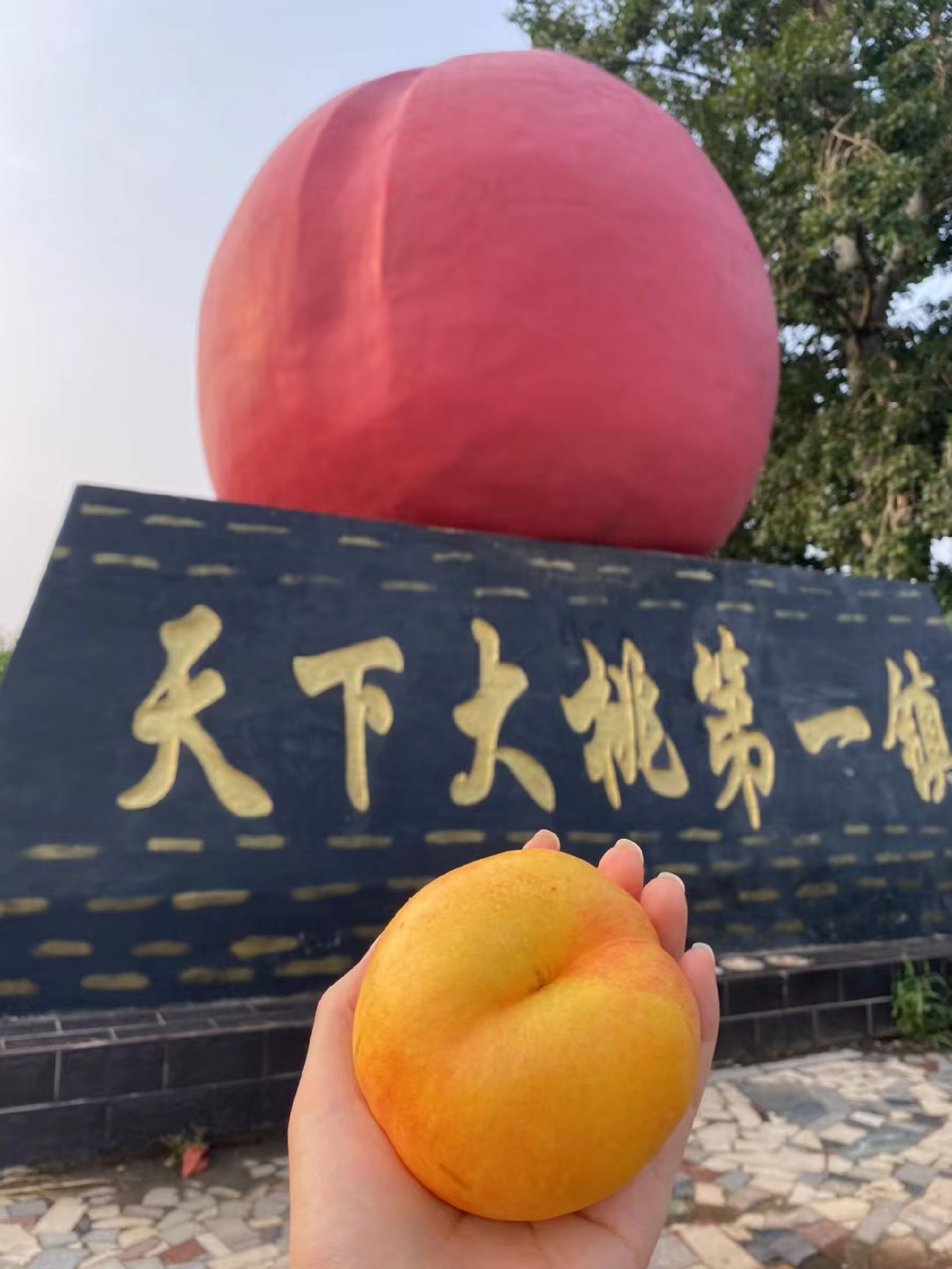 天下大桃第一镇旅行图片 1
