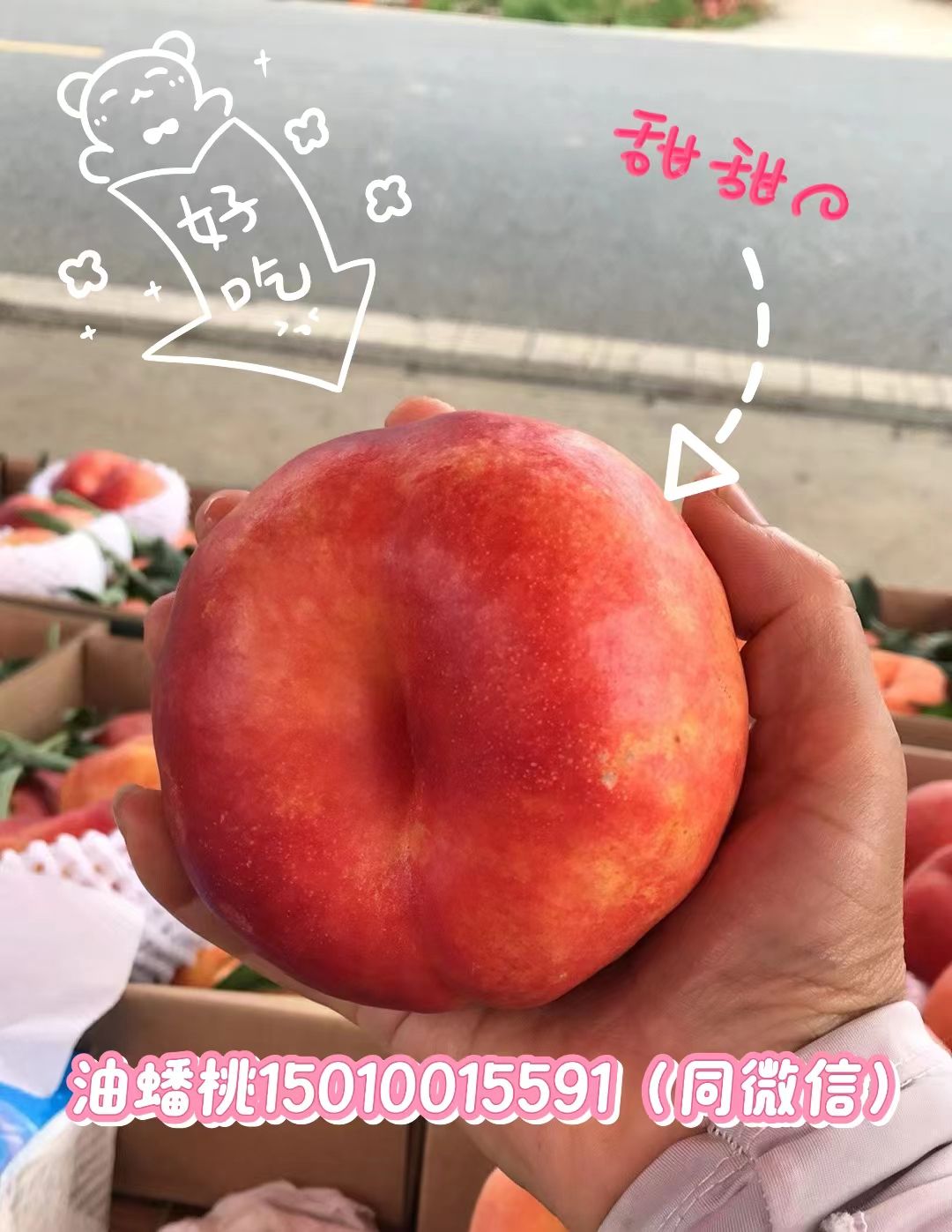 天下大桃第一镇旅行图片 3