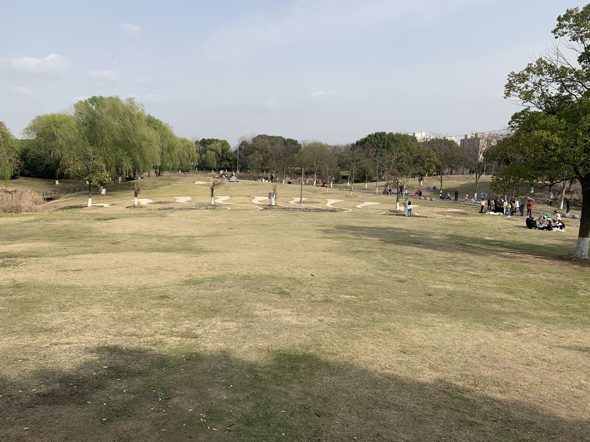 淀山湖大道公园旅行图片 1
