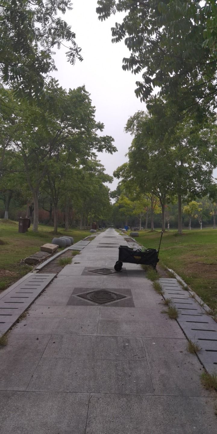 淀山湖大道公园旅行图片 1