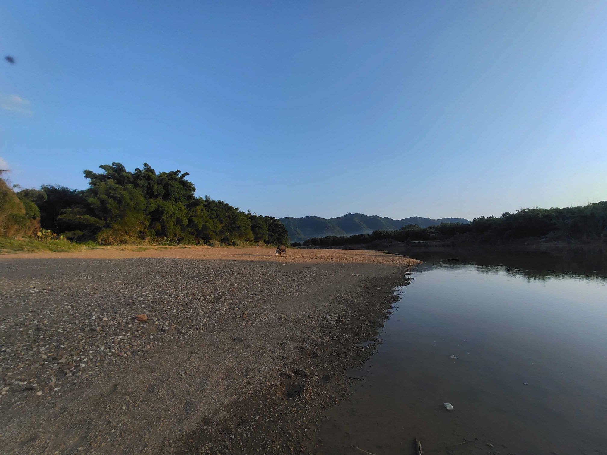 粗石竹海银滩旅行图片 3