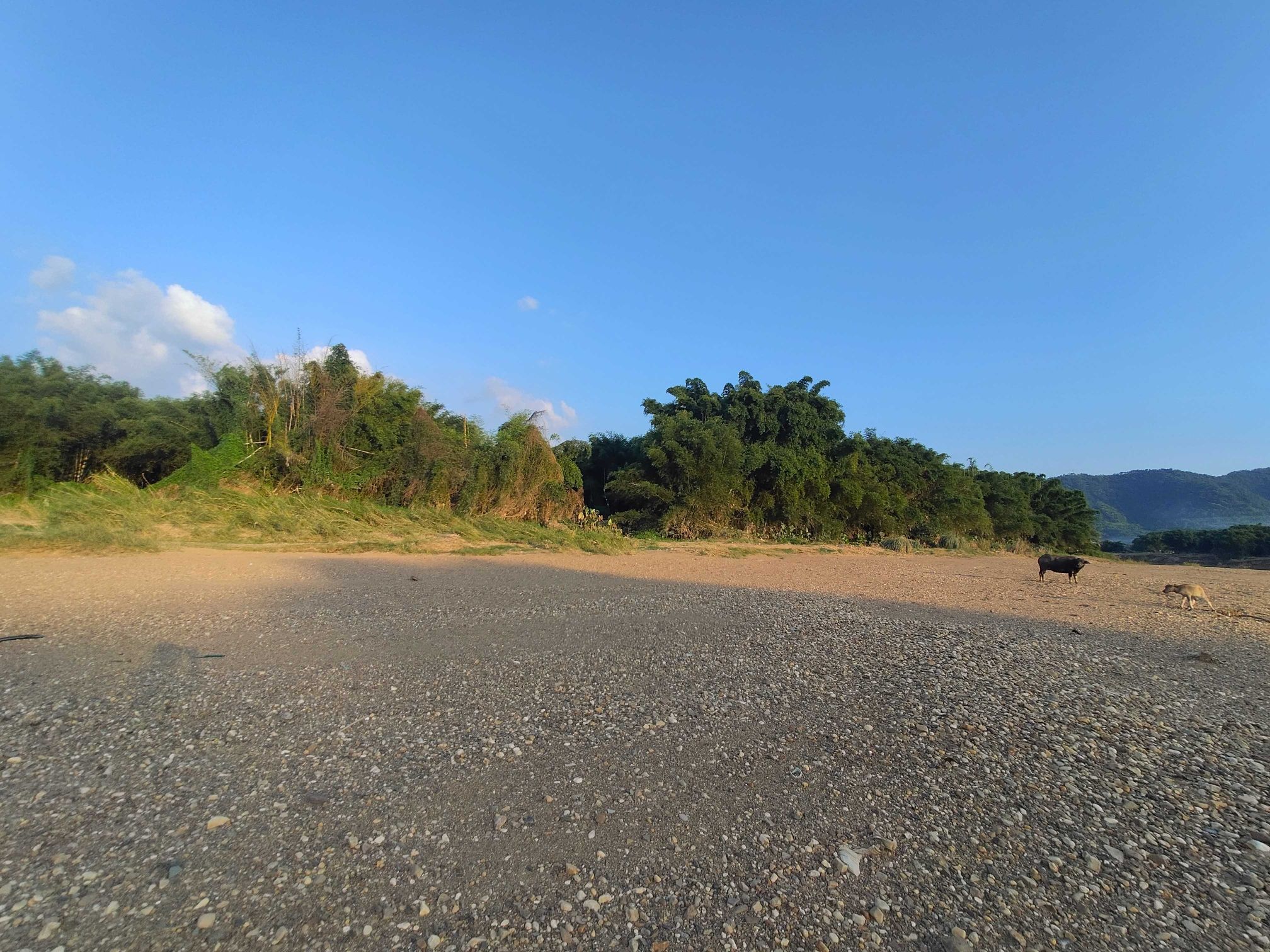 粗石竹海银滩旅行图片 2