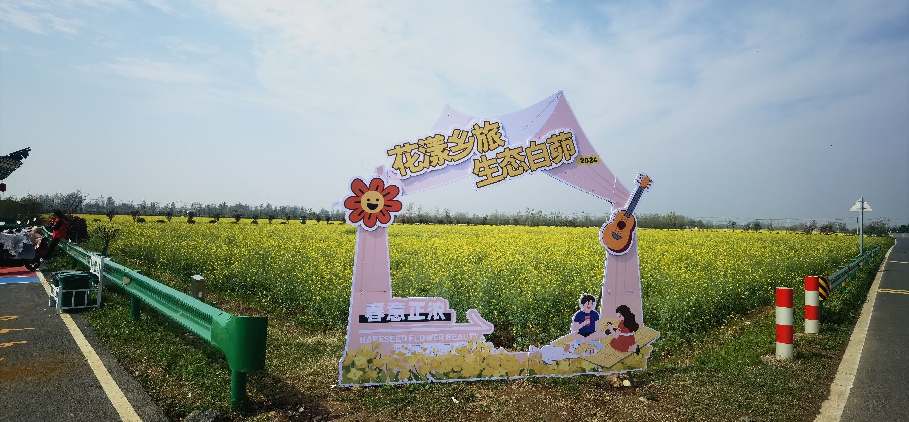 套北油菜花海旅行图片 1