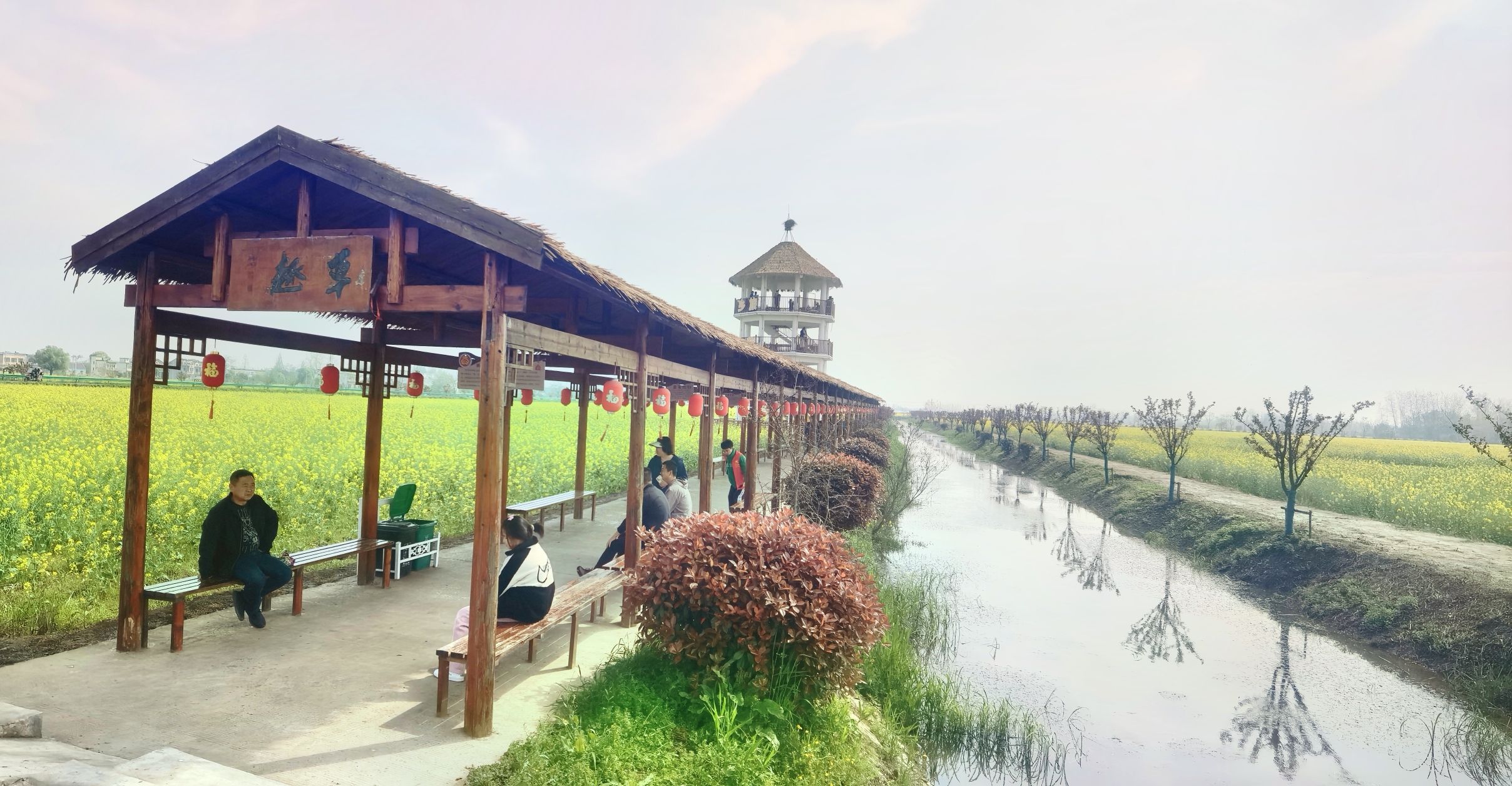 套北油菜花海旅行图片 2