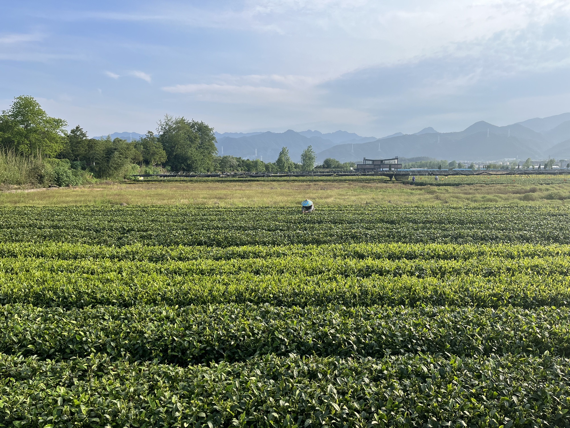 松阴溪景区旅行图片 3