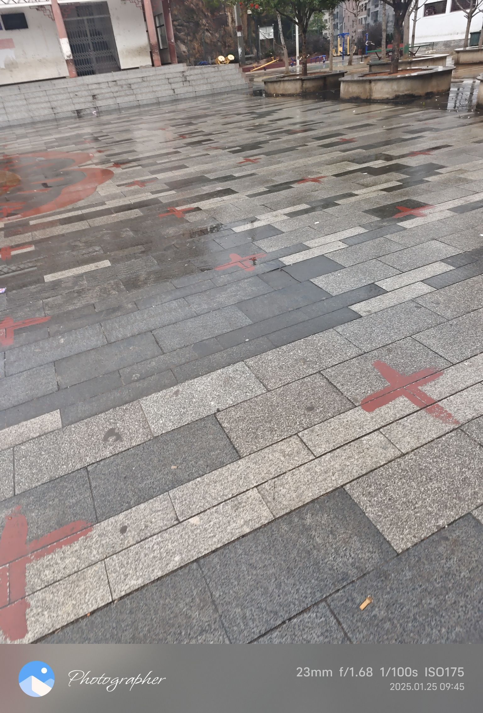 中心花园广场旅行图片 3