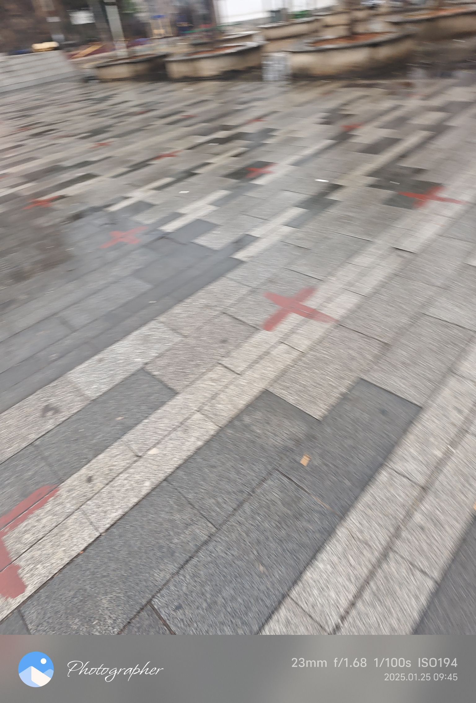 中心花园广场旅行图片 2