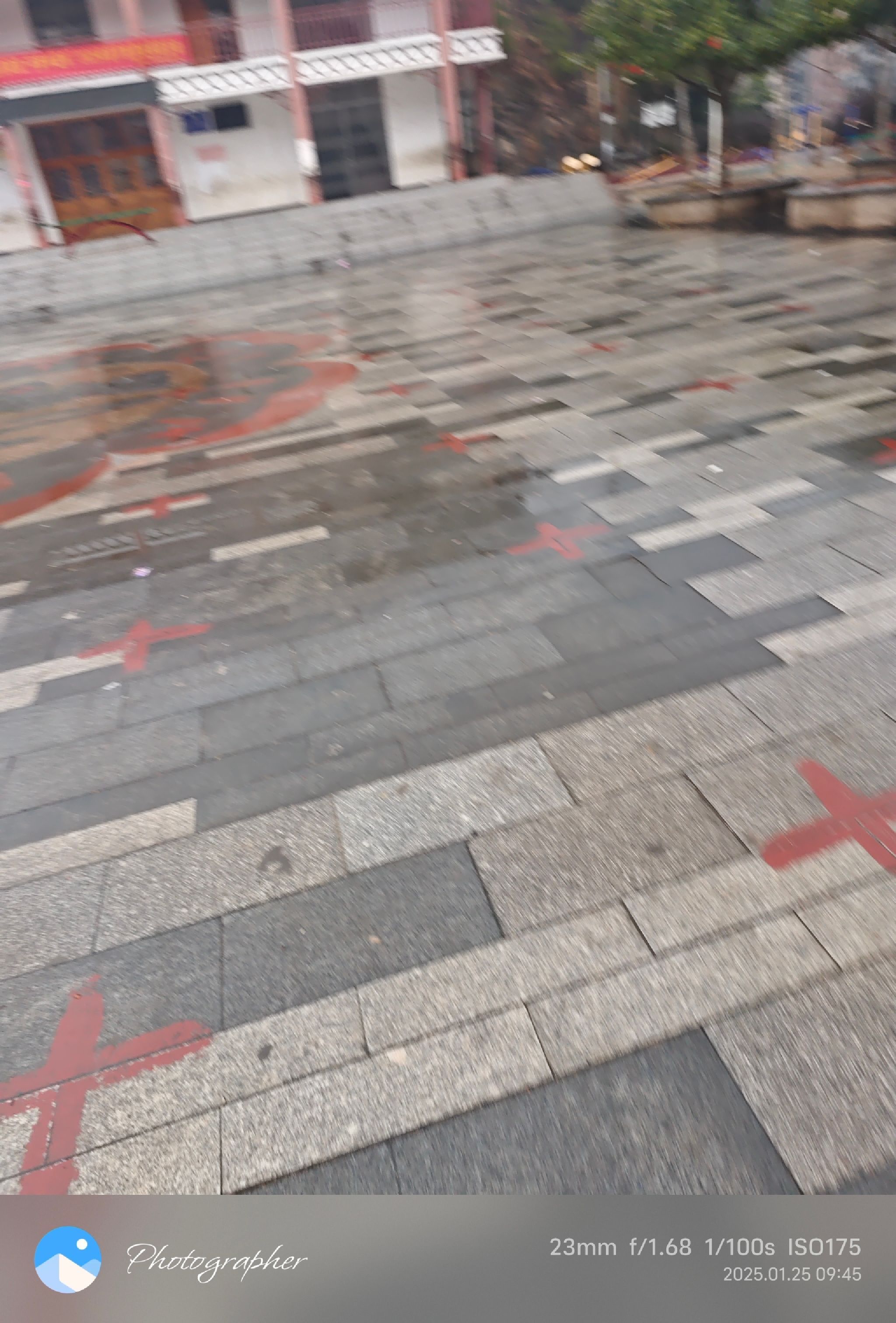 中心花园广场旅行图片 1