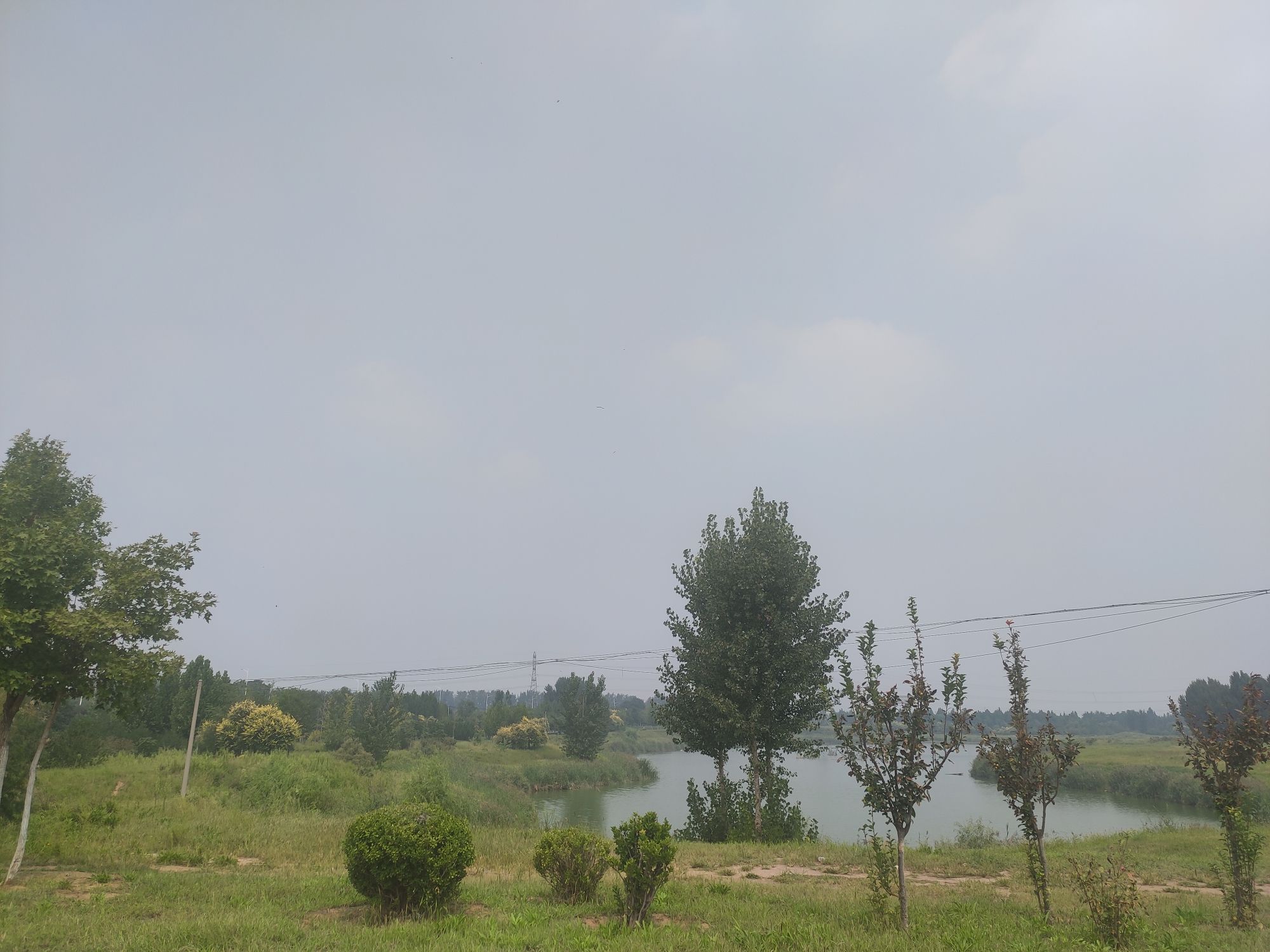 寿光市自行车公园旅行图片 2
