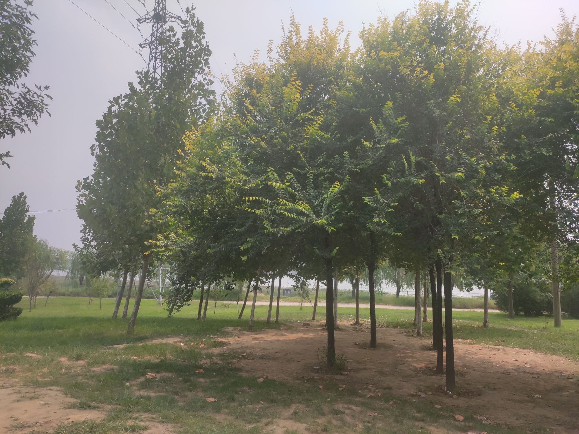 寿光市自行车公园旅行图片 1