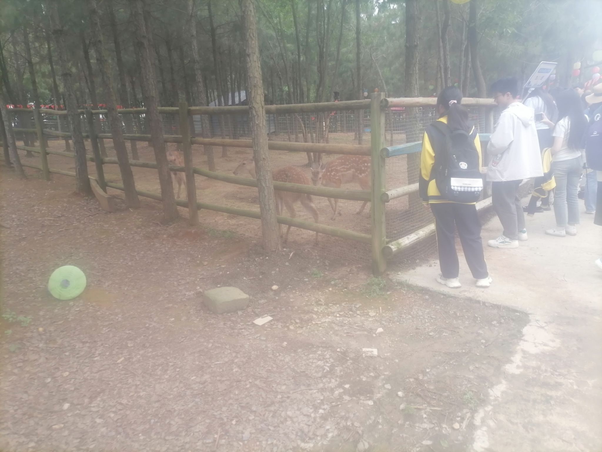 百峰岭景区旅行图片 2