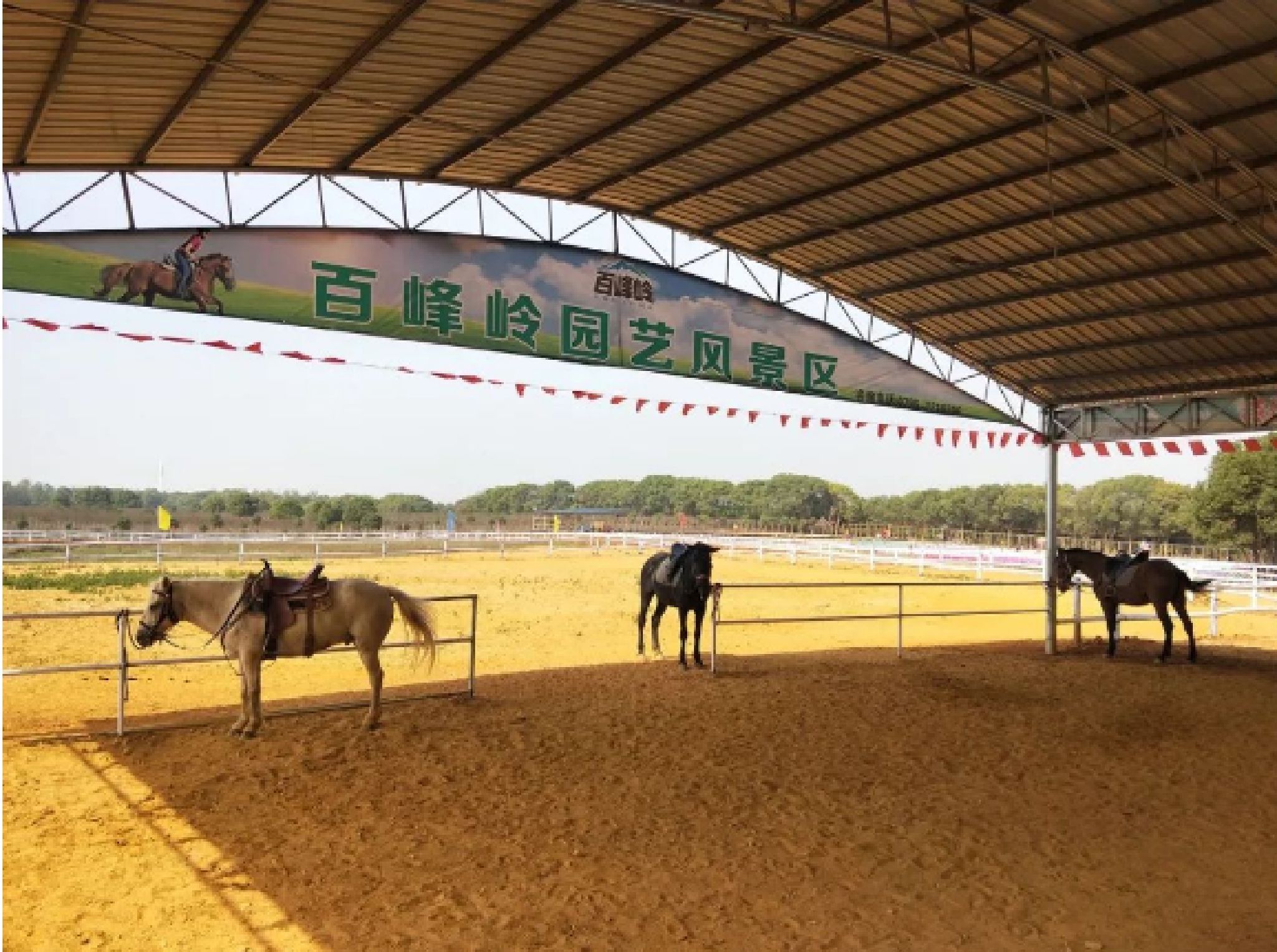 百峰岭景区旅行图片 1