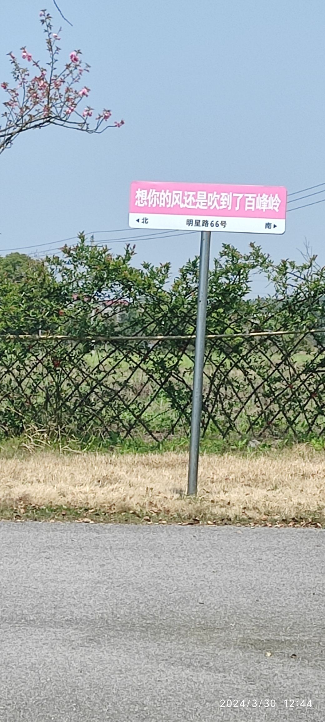 百峰岭景区旅行图片 3