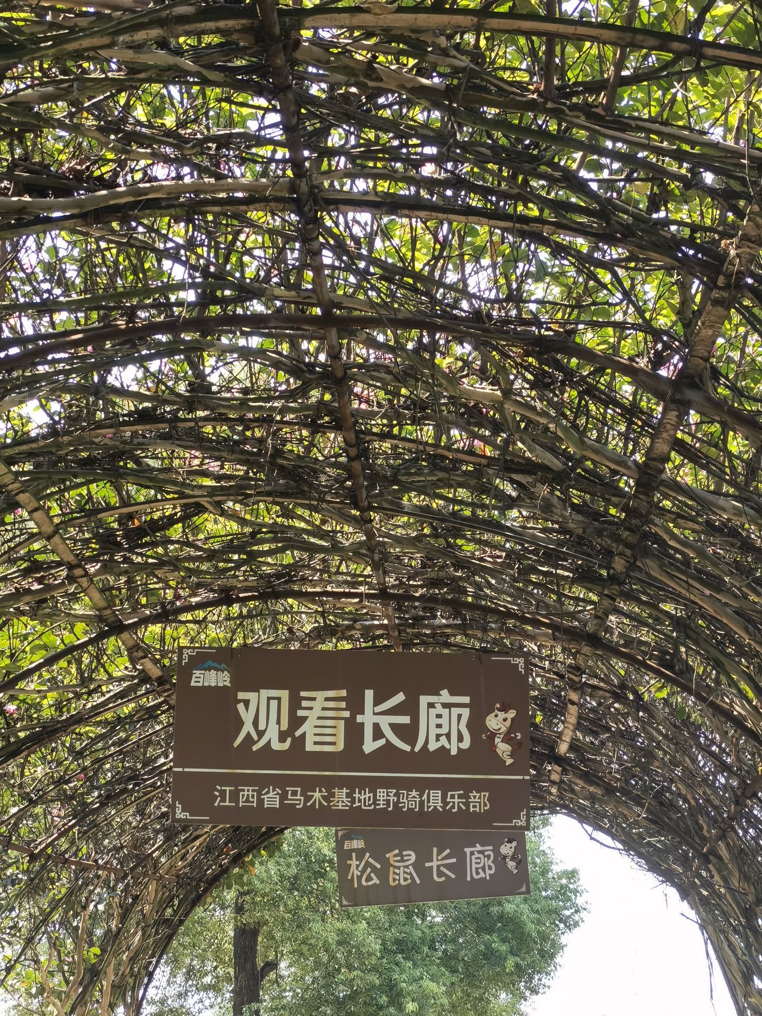 百峰岭景区旅行图片 1