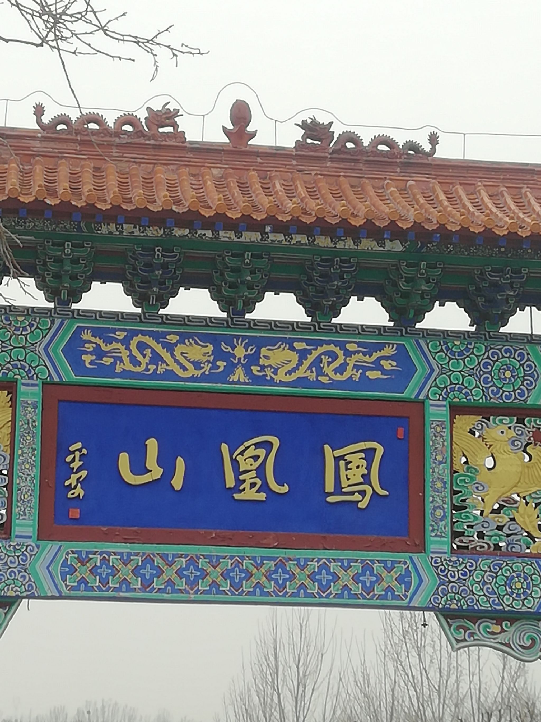 凤凰山森林公园旅行图片 2