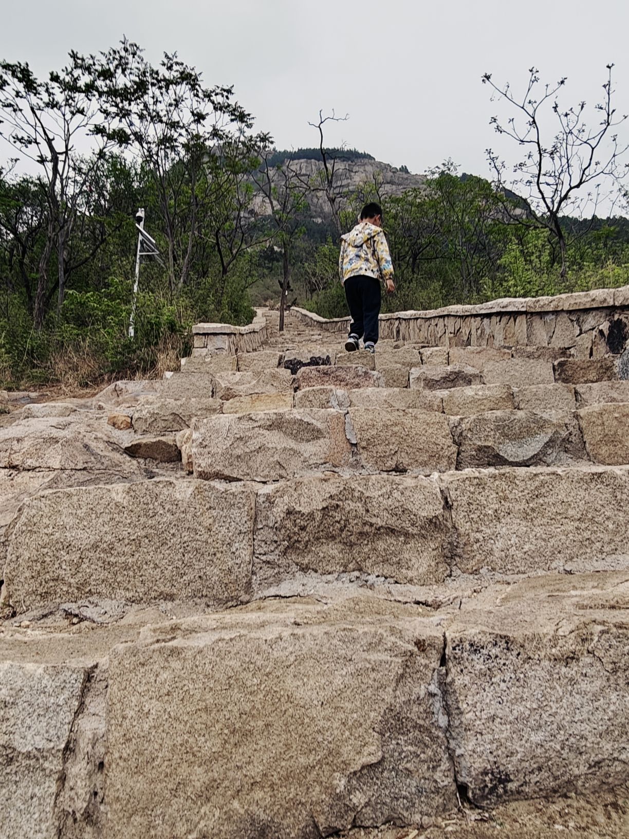凤凰山森林公园旅行图片 3