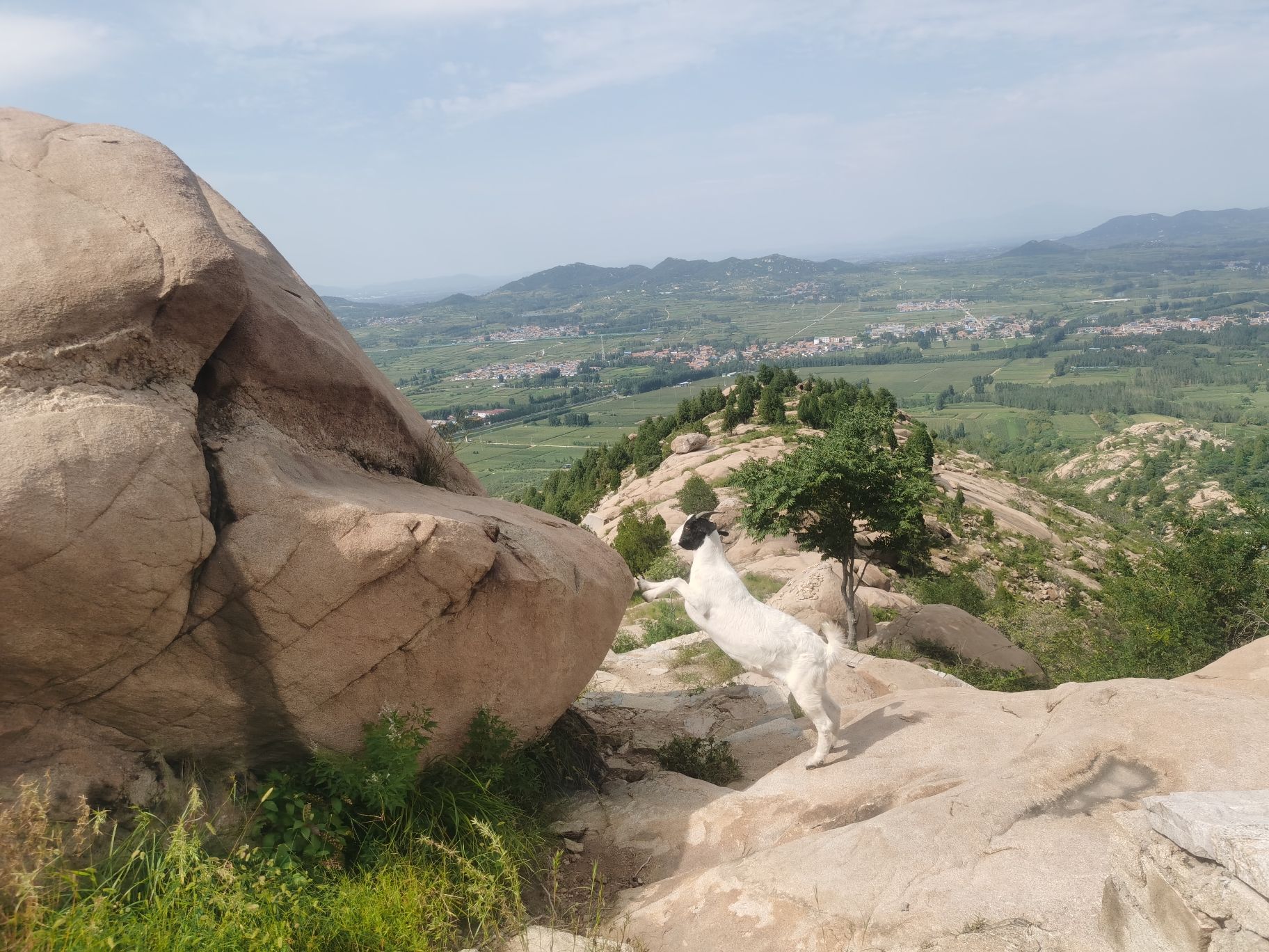 凤凰山森林公园旅行图片 3
