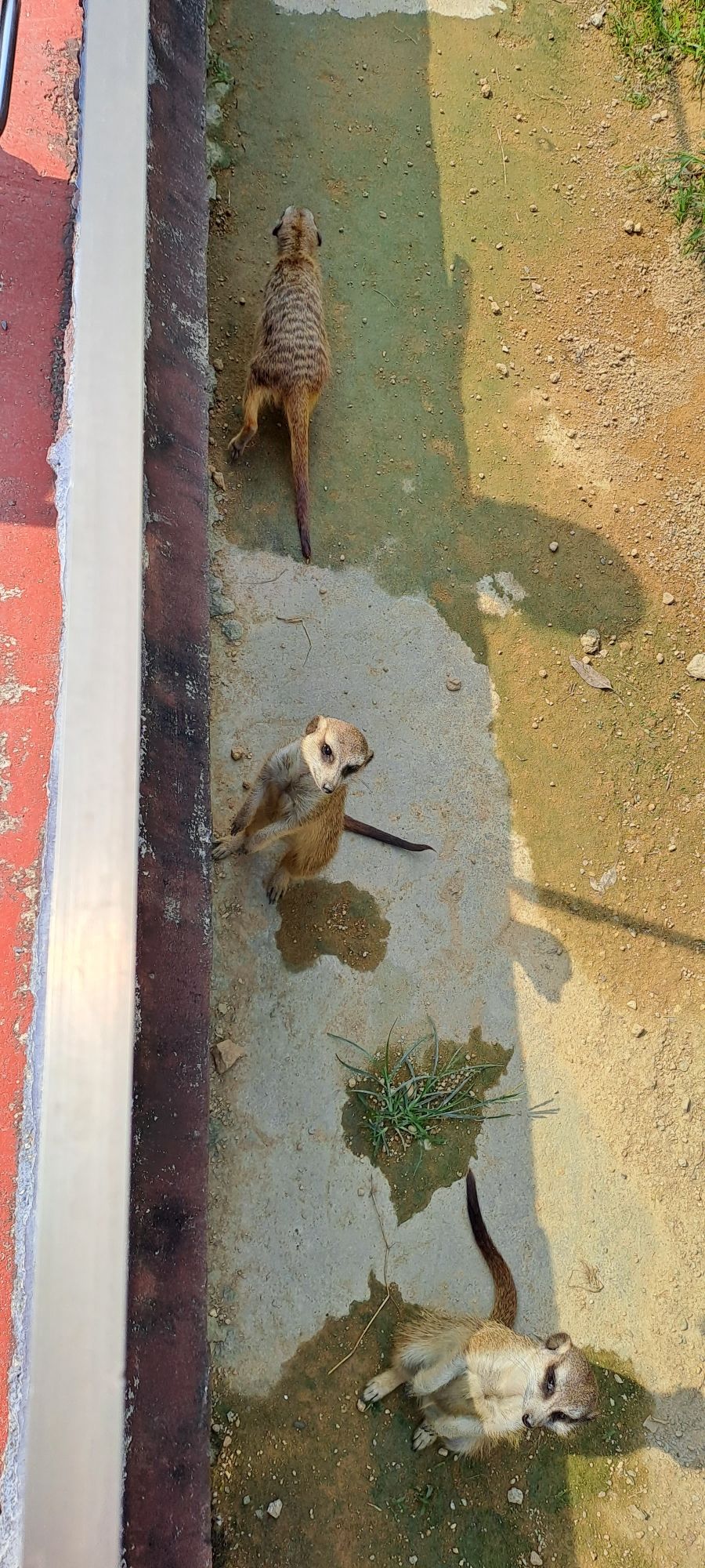 福宝森林动物主题乐园旅行图片 2