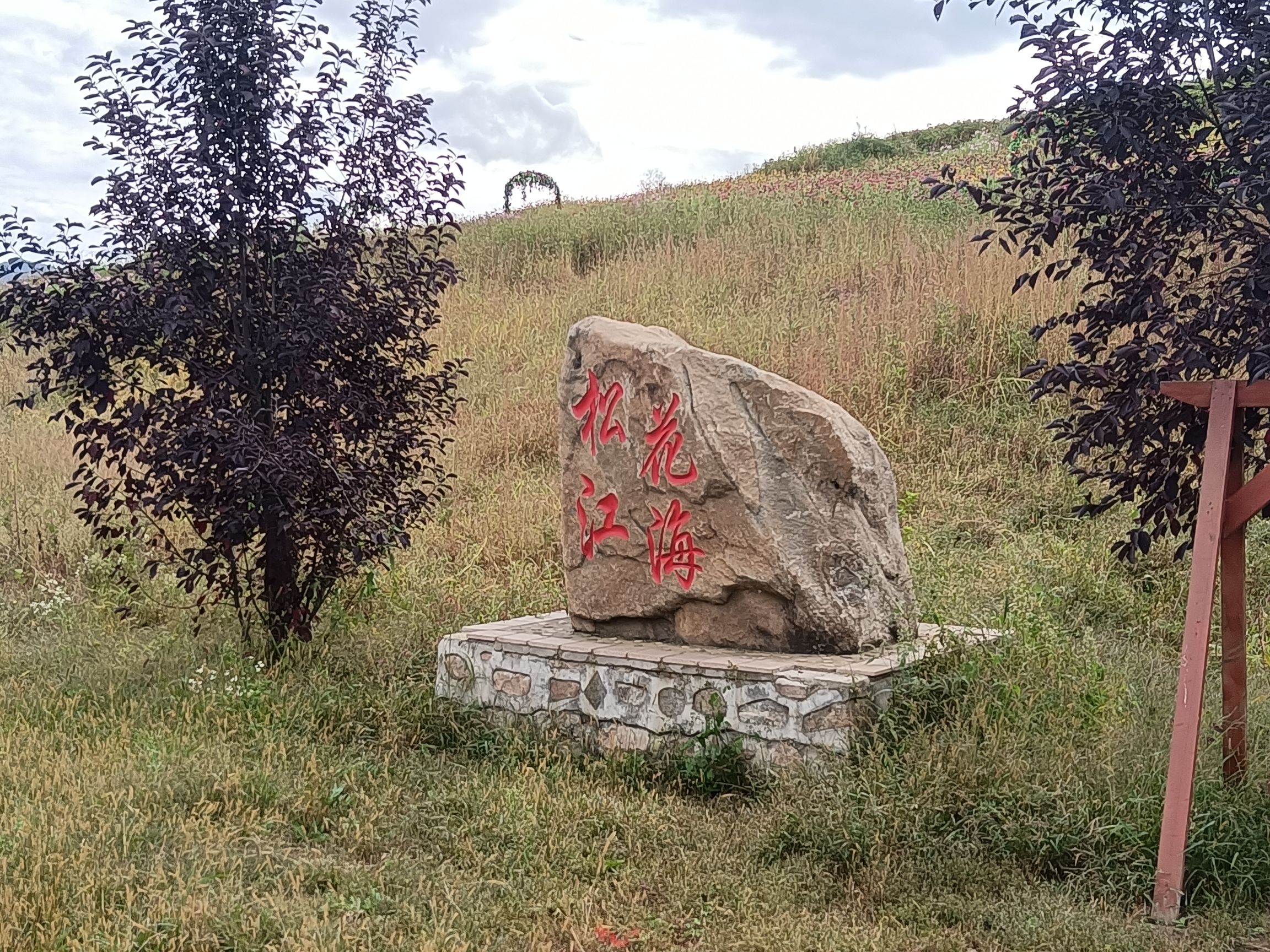 松江花海旅行图片 3